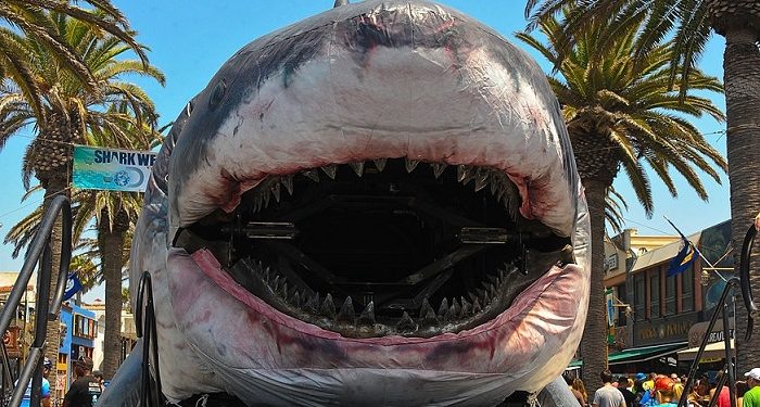 10 ideas to emulate Shark Week